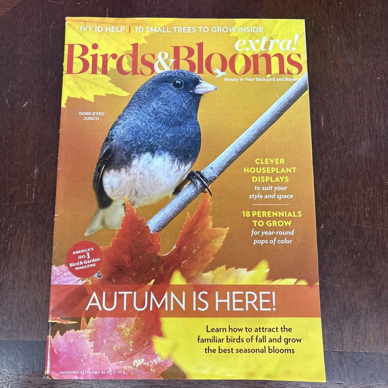Birds & Blooms Extra! Magazine November 2024 Autumn Is Here