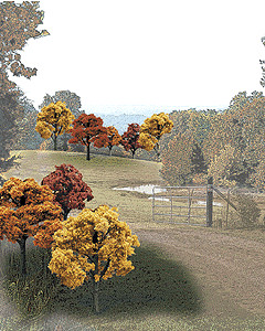 Woodland Scenics 1576 paquete de árboles de colores de otoño a todas las escalas de 2 a 3" (5,1 a | Zustand: New