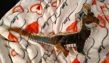 2000 TY Beanie Baby Chinese Zodiac Collection Dragon Plush Toy