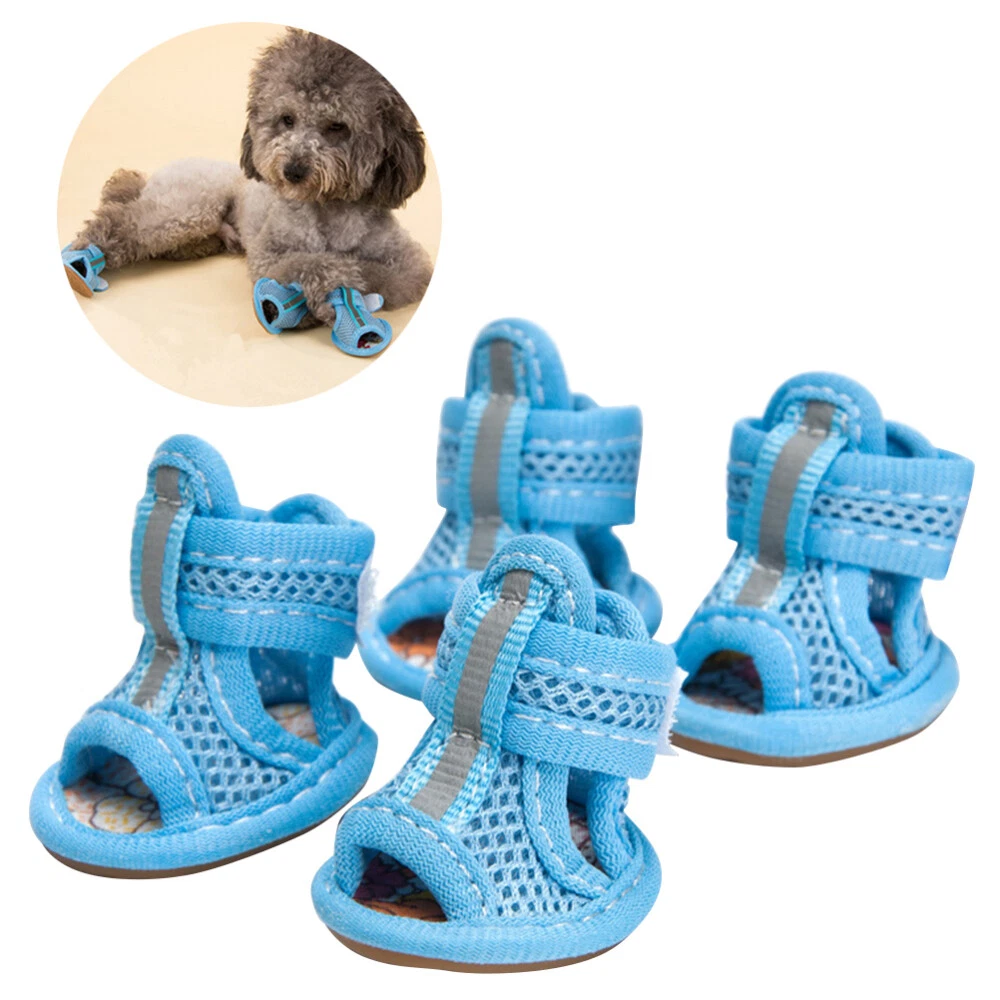 Female online dog shoes