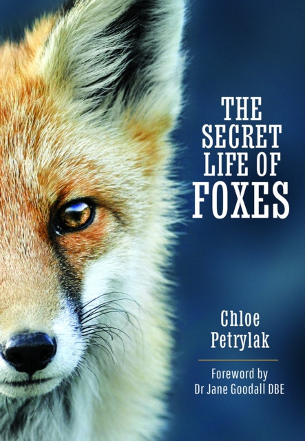 The Secret Life of Foxes by Chloe Petrylak (Hardback Book)