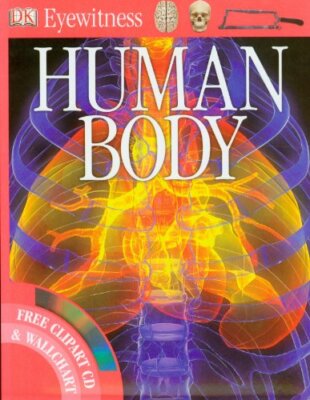 Human Body (Eyewitness) By Richard Walker