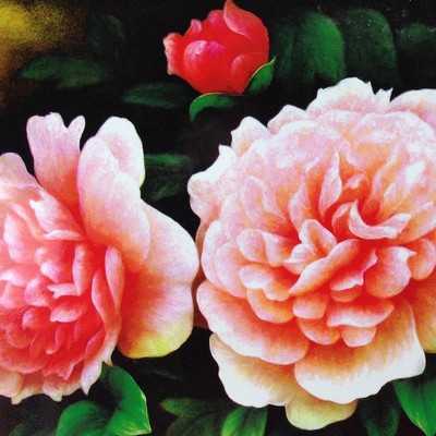 Stickpackung Rosa Pfingstrosen 53x38cm Stickbild Kreuzstich Peony Vorlage #80243