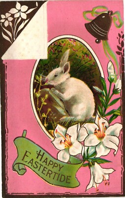 Vintage Postcard- S317. Happy Easter. Bunny. Embossed. Unposted 1910