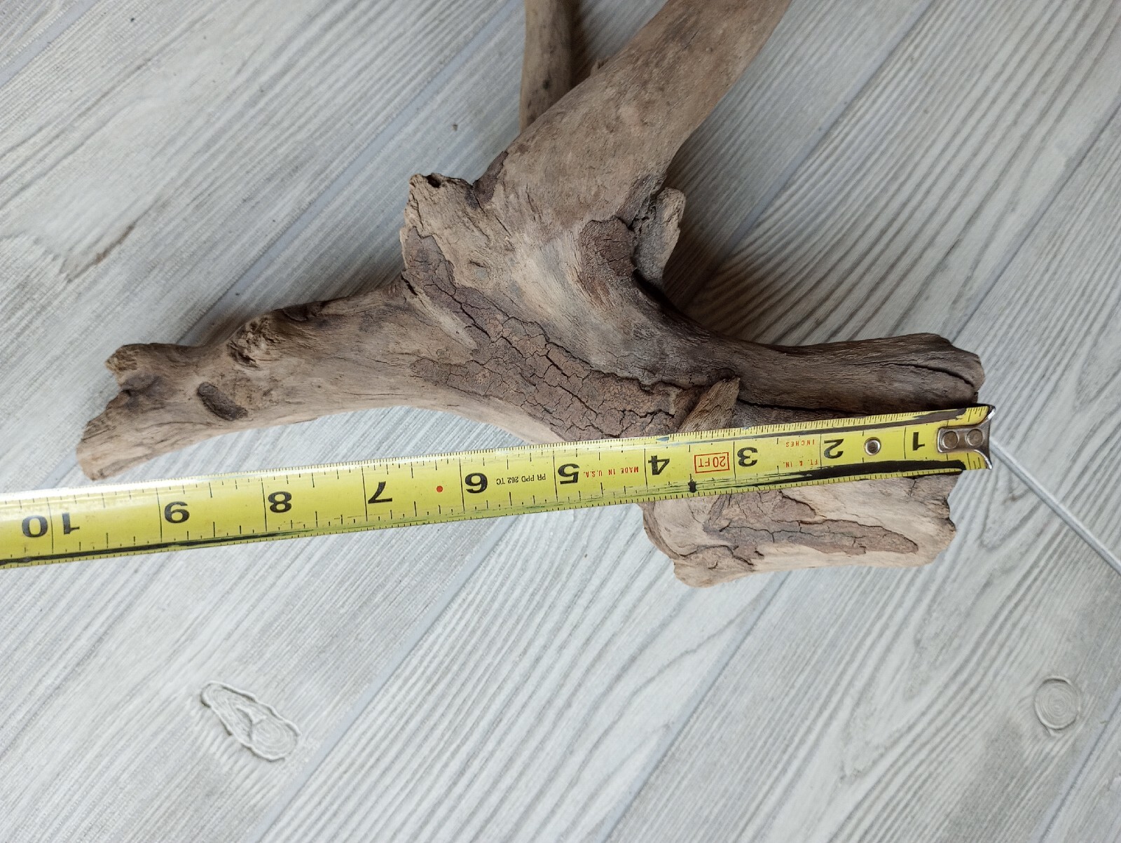 11" Unique Driftwood Art Piece Aquarium Reptiles Landscaping Yard Décor