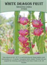 White Dragon Fruit (Selenicereus undatus) x 20 Seeds