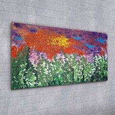 Acrylglasbild Wandbild Plexiglas 100x50 Foto Bild Natur landschaft Wiese Sonne