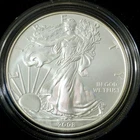 2008-W Burnished American Silver Eagle, OGP