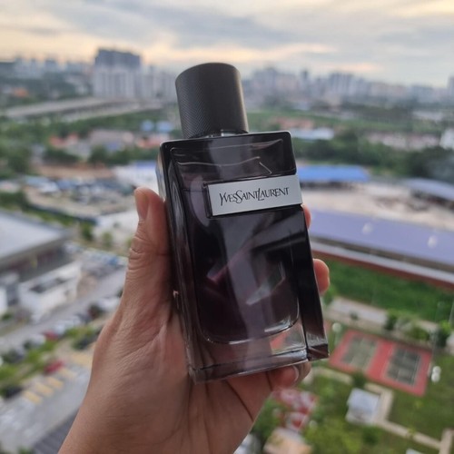 ysl y edp 60ml