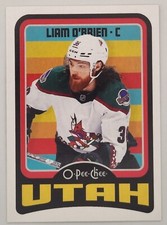 2024/25 O PEE CHEE Hockey Cards Base Inserts and Parallels - You Pick!