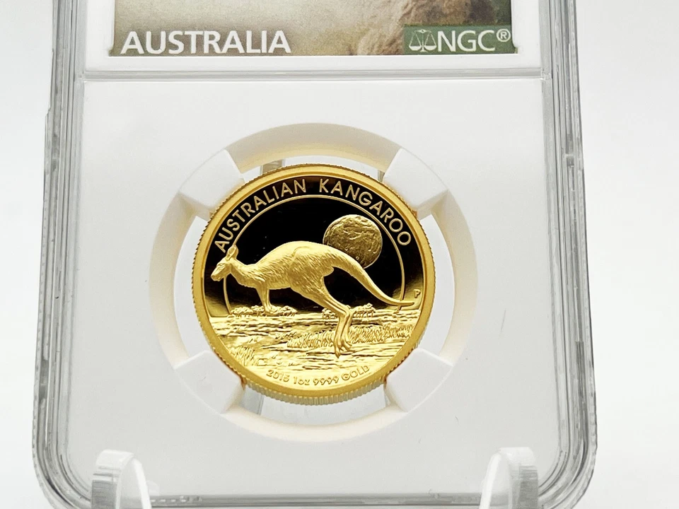 Australia 2015 100$ Kangaroo High Relief 1 oz Pure Gold coin Perth Mint - Image 3 of 4