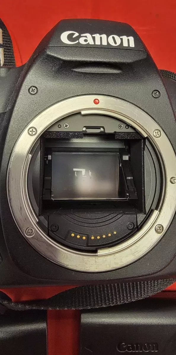 Canon EOS 5D Mark II Body only With BG-E6 Battery Grip and 4-batteries.
