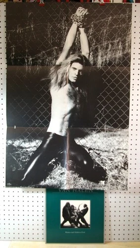 Van Halen~Women and Children First LP~80 WARNER~HS 3415~PLAYS EX~VG++/VG+ Poster