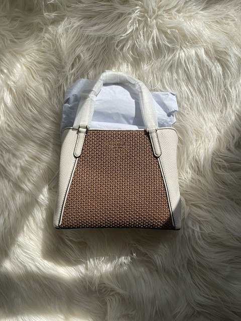 balenciaga canvas pouch