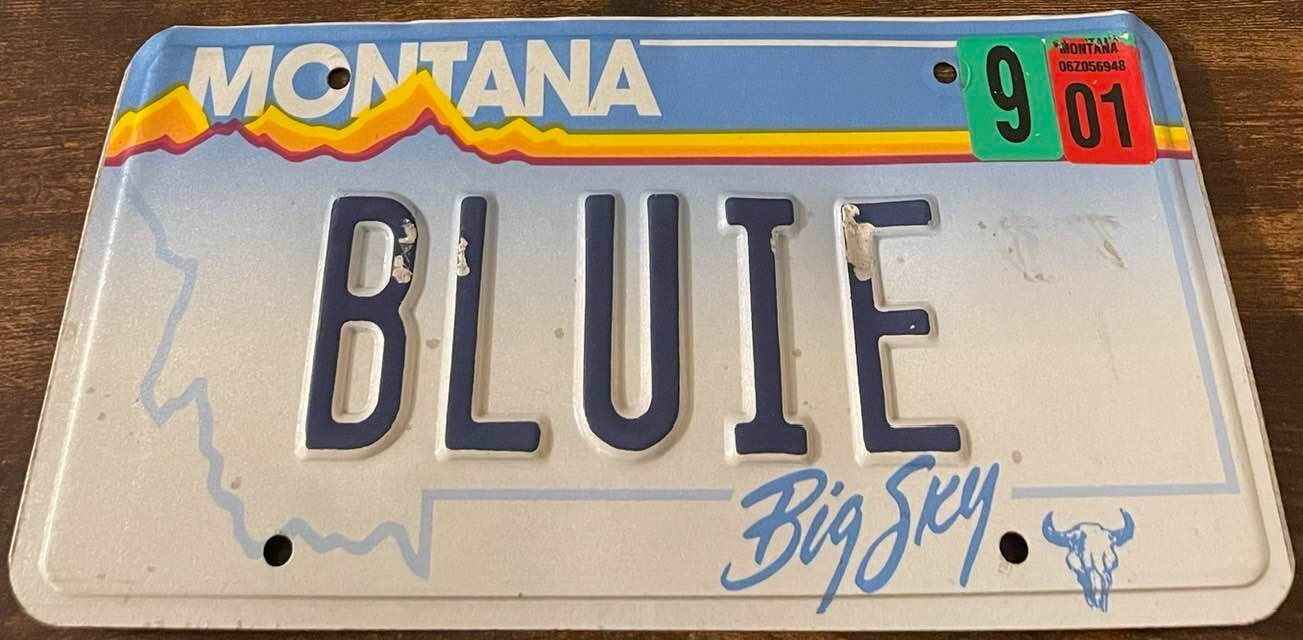 BLUIE Vanity License Plate Montana Greenland Codename WWII Louie Bluie