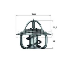 Thermostat Audi 50