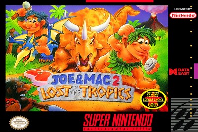 Joe & Mac 2 Lost In The Tropics BOX ART SNES Premium POSTER MADE IN USA - SNE207