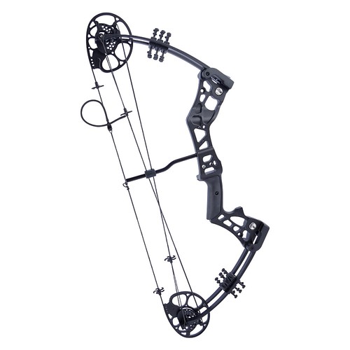 15-45lbs Youth Compound Bow Set Junior Kids Target Gift Archery Hunting Shooting - Picture 14 of 24