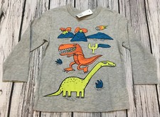 Baby Gap Boys 2 / 2T Gray Dinosaur  Volcano Shirt. Nwt