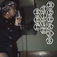 Beehive Breaks - Various Artists - Lp Release Date 22/03/24 This Can - G3Z