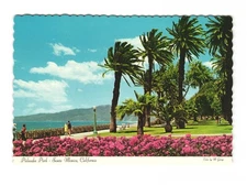 Palisades Park Santa Monica CA vintage postcard unposted