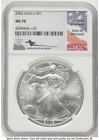 Photo of a 2002 American Silver Eagle from an eBay sale