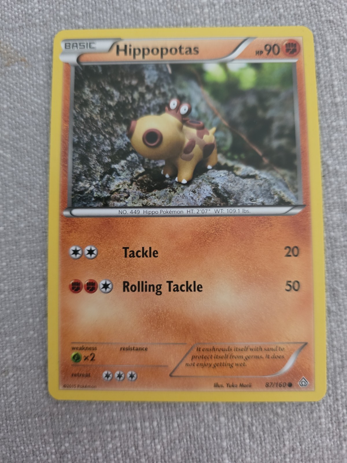 Pokemon Hippopotas 87/160 Primal Clash Non Holo Common
