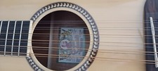 12 String Acoustic Guitar With A Molded Hard Case