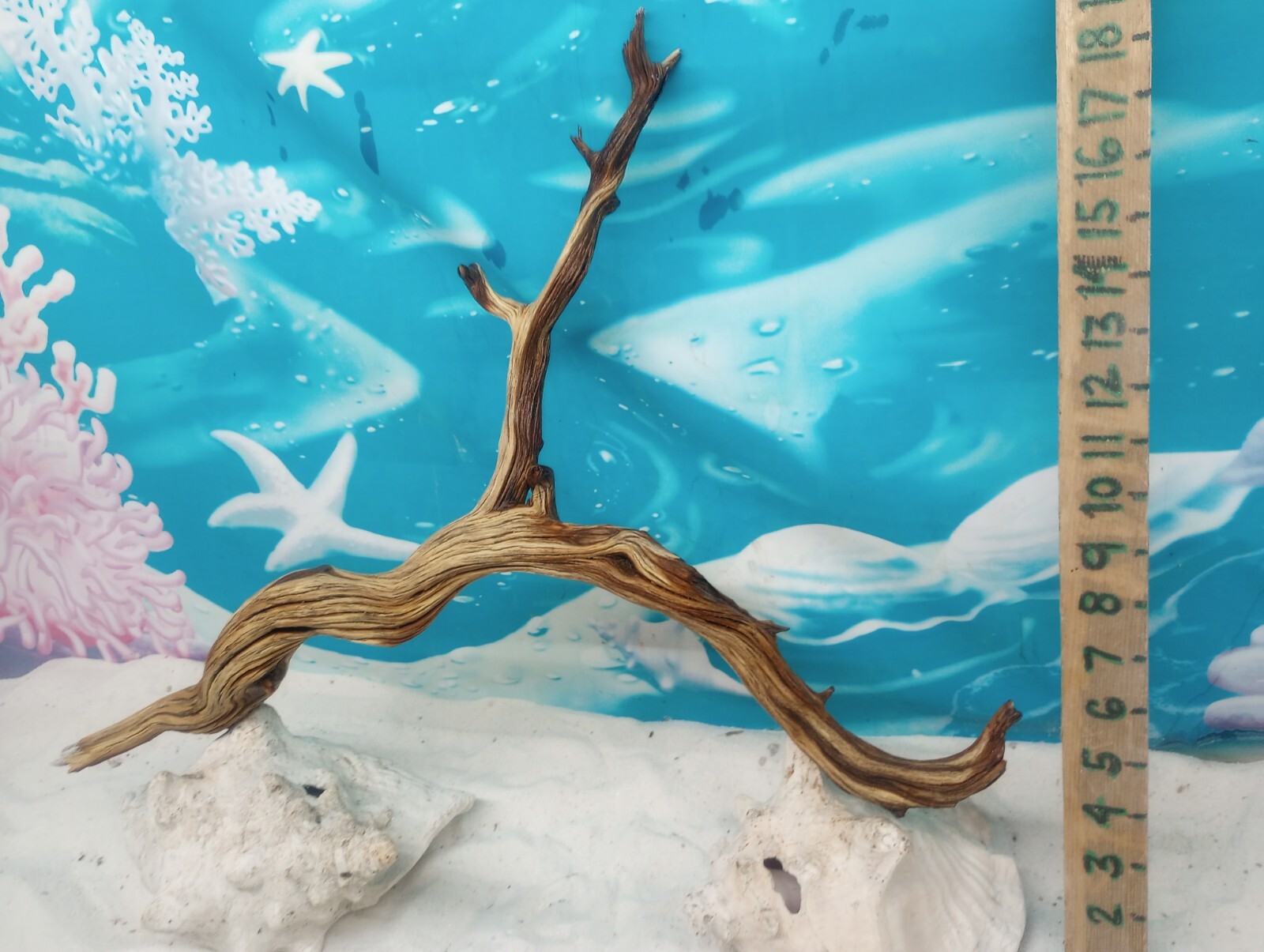 Manzanita driftwood premium aquarium wood aquascape decor reptiles bird