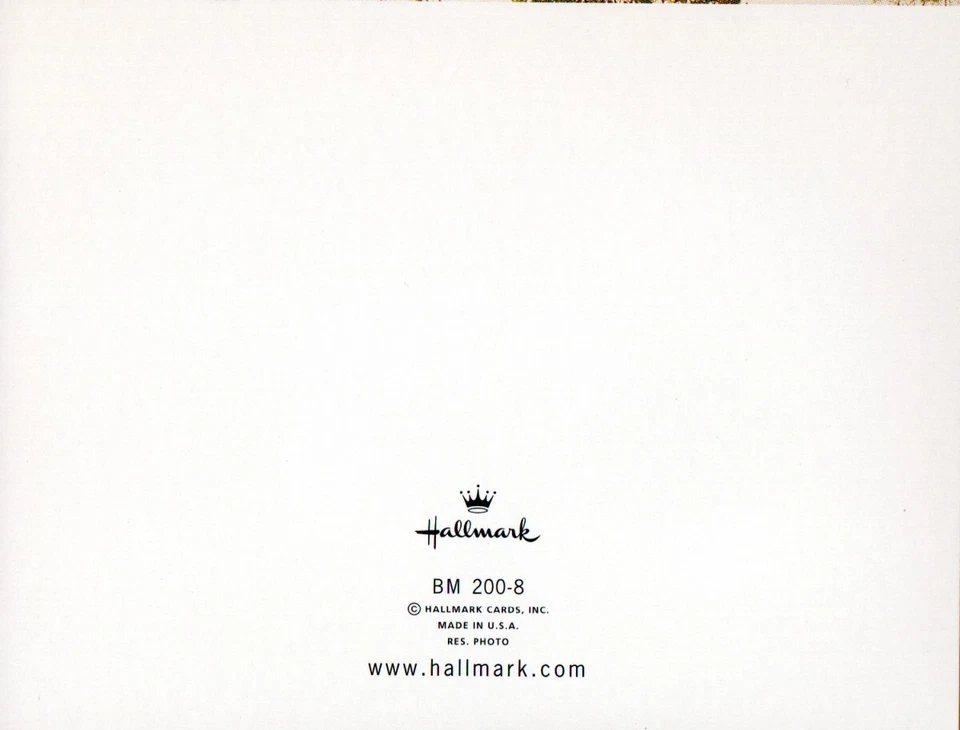 Set of 8 Laundry Line Spring Flower Field Blank Cards + Envelopes by Hallmark - Image 3 of 4