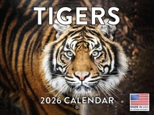 Tiger Calendar 2026 Wall Monthly