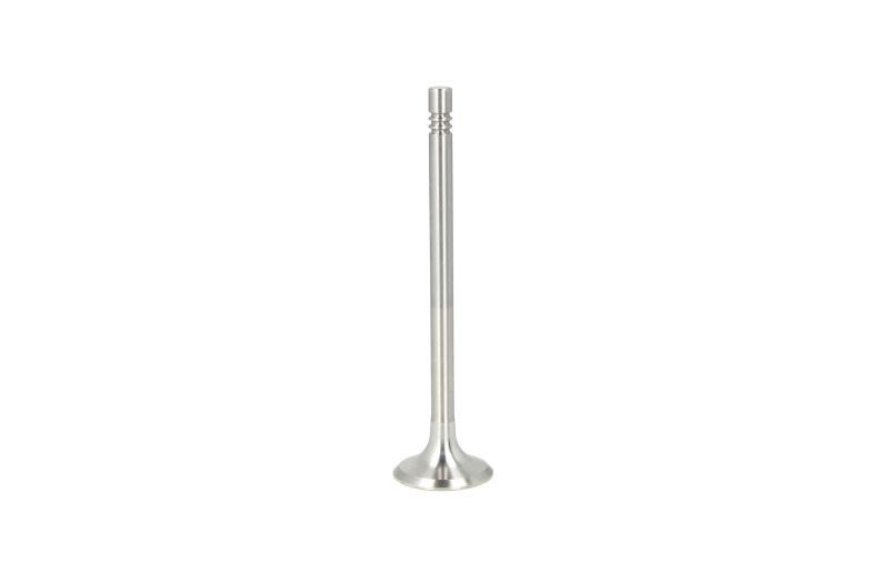 Soupape d'émission FRECCIA R6014/BM VW POLO (6N2) 1.4 - Tolérance aux hautes températures