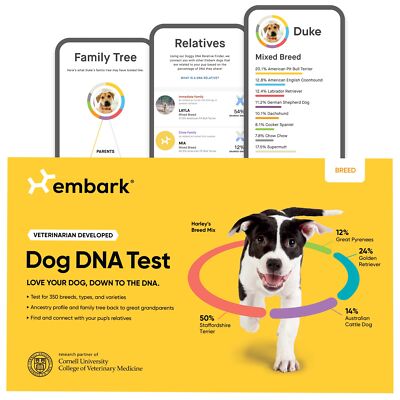 Embark Breed Identification Kit | Most Accurate Dog DNA Test | Test 350+ Dog ...