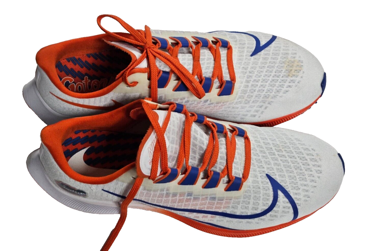 nike fsu pegasus 37 shoes