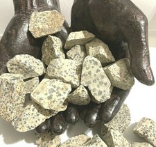 1 LB Dalmatian Jasper Rough Stones 1-2inch Healing Crystals Reiki Grounding