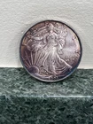 2005 American Silver Eagle 1 oz .999 Fine Silver Coin Toned