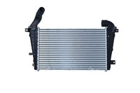 Nrf 30302 LadeluftküHler FüR Opel,Vauxhall