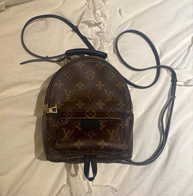 Louis Vuitton Monogram Palm Springs Mini Backpack