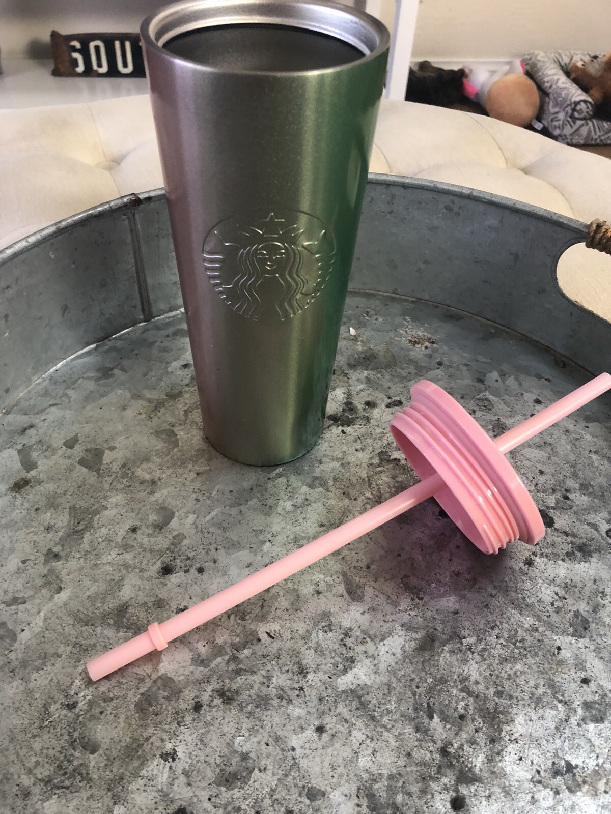 Starbucks Holiday 2020 Stainless Steel Pink Green Gradient Ombre