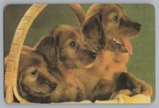 Q) ONE Single Swap Playing Card Artistic Dog Canine Vintage King Of Spades