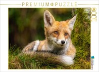 Calvendo Puzzle Fox | 1000 Pieces, Finished Size 25.2 × 18.9 In (64 × 48 Cm) | P