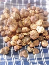 TARTUFO FRESCO 100 GR TARTUFO BIANCHETTO ,TUBER ALBIDUM PICO PEZZATURA  MISTA