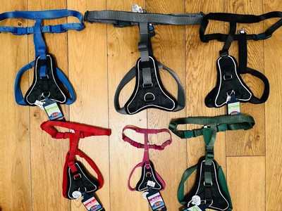 TRIXIE Premium Hundegeschirr   reflektierend, gepolstert, verstellbar   Komfort