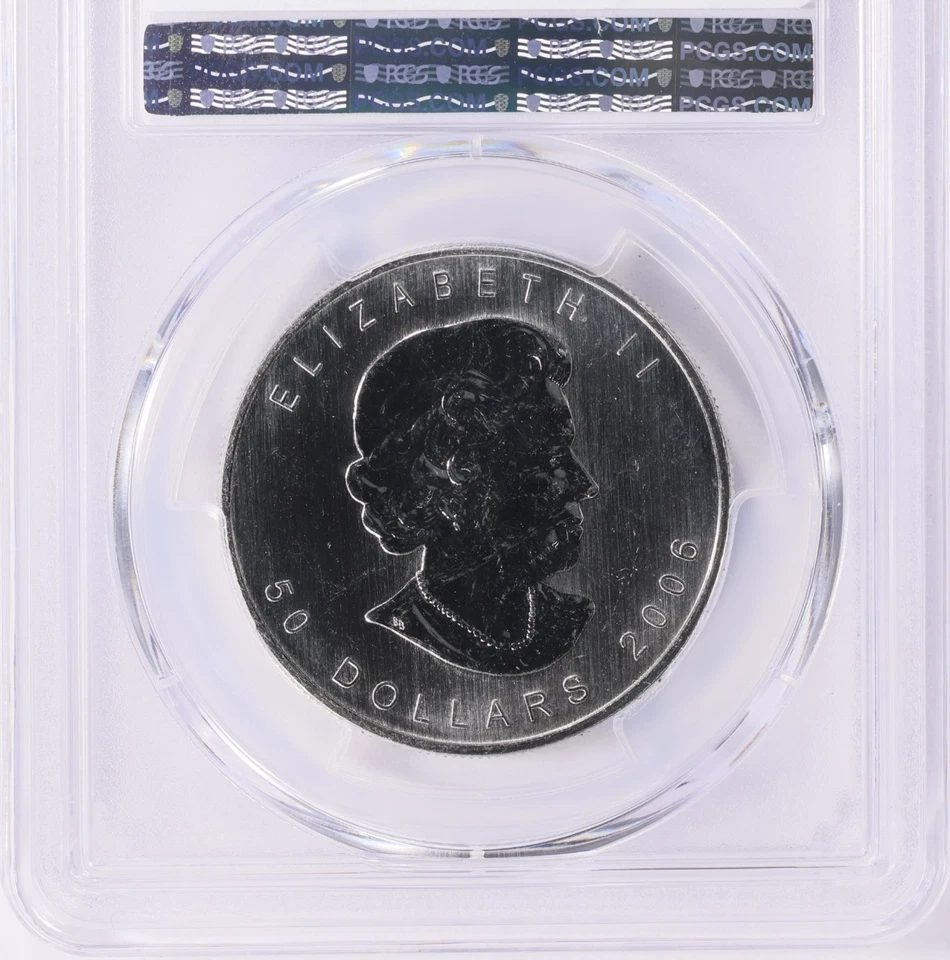 Hoja de arce paladio Canadá 2006 1 oz graduación profesional MS67 Foto 2 de 2