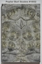 Outstanding Stabilized Spalted Poplar Burl scales 1652, 6 1/16 x 2 x 3/8 "