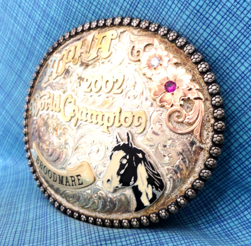 APHA 2002 World Champion Broodmare Belt Buckle SS 10K Overlay Vtg Gist SS.GMP007