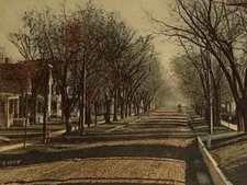 Postcard Elm Shaded Street Red Wing Minnesota MN Dirt Street 1907 Germany Card 