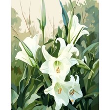 Paint By Numbers Adults kids White Lily Flowers DIY Painting Kit 40x50CM Canvas
