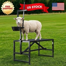 Heavy Duty Goat Stand with Feed Bin 47 Inch Goat Milking Stand Adjustable 600LBS
