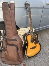 Acoustic Guitar/Amp &Built-In Tuner, Xtra Strings, & Guitar Soft-side Bag &Capo